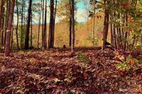 Undeveloped Land for sale in Caldwell County, North Carolina