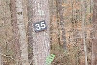 Undeveloped Land for sale in Madison County, North Carolina