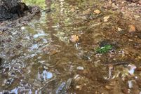 Land for sale in Rutherford County, North Carolina