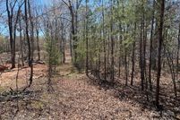 Undeveloped Land for sale in Rutherford County, North Carolina