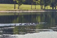 Land for sale in York County, South Carolina