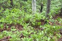 Land for sale in Transylvania County, North Carolina