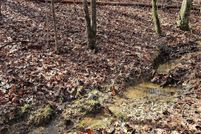 Land for sale in Cabarrus County, North Carolina