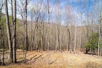 Undeveloped Land for sale in Buncombe County, North Carolina