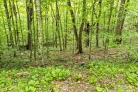 Land for sale in Yancey County, North Carolina