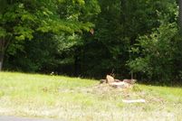 Land for sale in Montgomery County, North Carolina