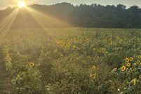 Land for sale in Cleveland County, North Carolina