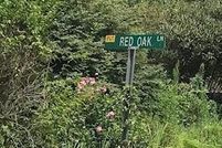 Land for sale in Yancey County, North Carolina