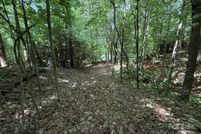 Land for sale in Buncombe County, North Carolina
