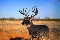 Farm and Ranch for sale in Cottle County, Texas