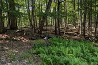 Land for sale in Wayne County, Pennsylvania
