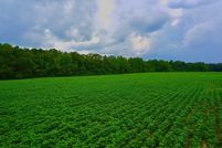 Land for sale in Houston County, Alabama