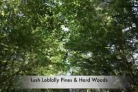 Land for sale in Sevier County, Arkansas