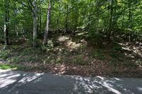 Land for sale in Lewis County, Kentucky