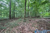 Land for sale in Etowah County, Alabama
