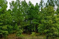 Land for sale in Darlington County, South Carolina