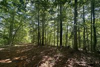 Undeveloped Land for sale in Cumberland County, Kentucky