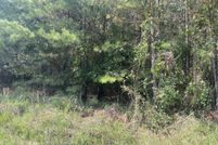 Land for sale in Taliaferro County, Georgia