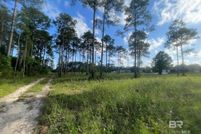 Undeveloped Land for sale in Baldwin County, Alabama