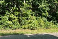Undeveloped Land in Fairfield County, South Carolina