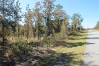 Undeveloped Land for sale in Marion County, Florida