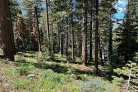 Undeveloped Land in El Dorado County, California
