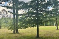 Homesite for sale in Putnam County, Tennessee