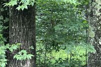 Undeveloped Land for sale in Tucker County, West Virginia