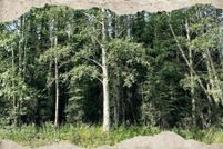 Homesite for sale in Kenai Peninsula Borough, Alaska