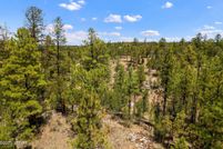 Land for sale in Navajo County, Arizona