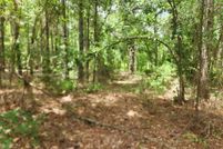 Undeveloped Land for sale in Wood County, Texas