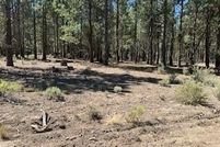 Undeveloped Land for sale in Klamath County, Oregon