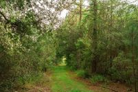 Undeveloped Land for sale in Levy County, Florida