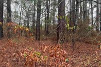 Undeveloped Land for sale in Marion County, Texas
