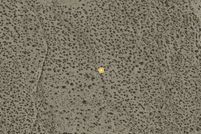 Land for sale in Los Angeles County, California