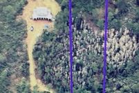 Land for sale in Orange County, Florida