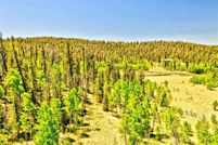 Land for sale in Park County, Colorado