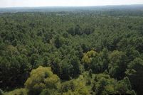 Undeveloped Land for sale in Cherokee County, Texas