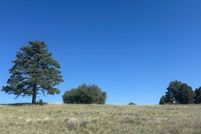 Farm and Ranch for sale in Rio Arriba County, New Mexico