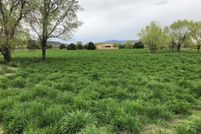 Homesite for sale in Taos County, New Mexico