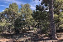 Homesite for sale in Taos County, New Mexico