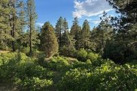 Land for sale in Rio Arriba County, New Mexico