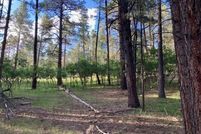 Lakefront Property for sale in Rio Arriba County, New Mexico