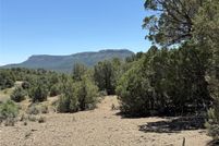 Land for sale in Rio Arriba County, New Mexico