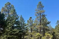 Farm and Ranch for sale in Rio Arriba County, New Mexico