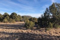 Undeveloped Land for sale in San Miguel County, New Mexico