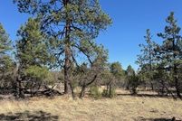 Undeveloped Land for sale in Rio Arriba County, New Mexico
