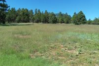 Undeveloped Land for sale in San Miguel County, New Mexico
