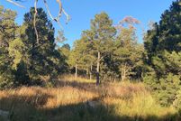 Undeveloped Land for sale in San Miguel County, New Mexico