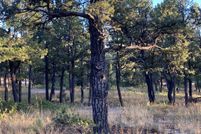 Homesite for sale in San Miguel County, New Mexico